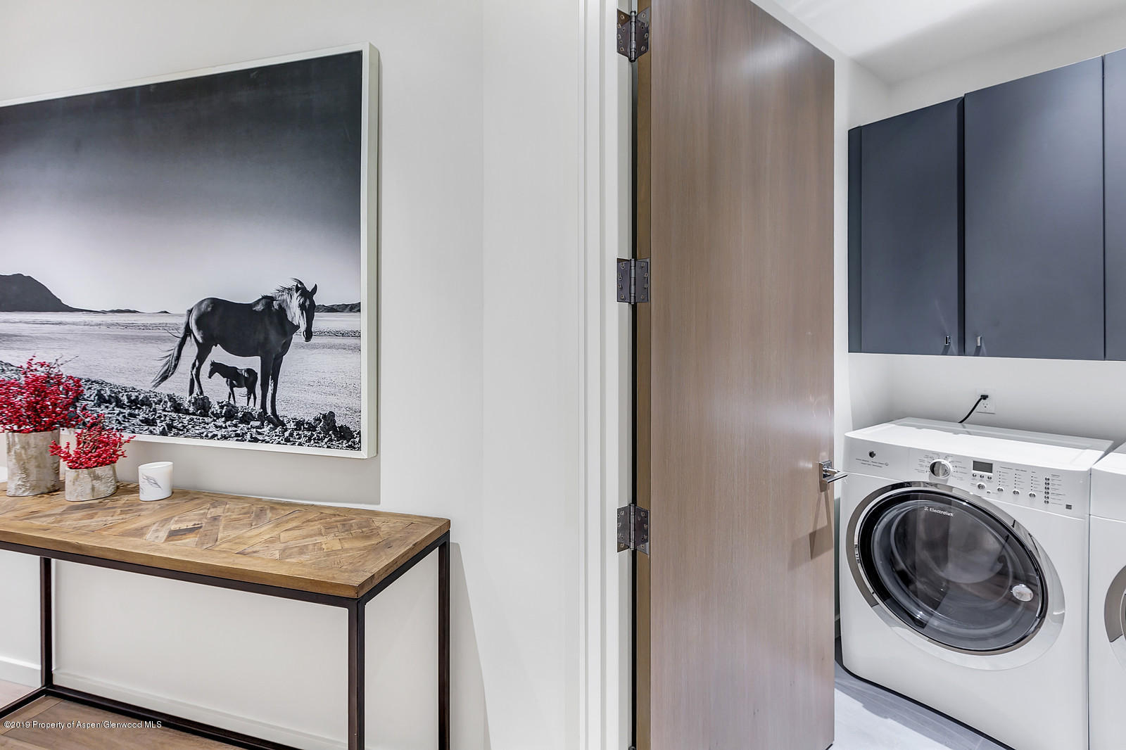 1098 Waters Avenue Aspen, CO 81611 - Photo 39 of 45 a view of utility room