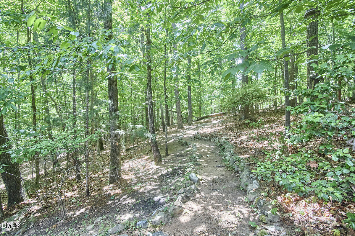 124 Steeplechase Road Chapel Hill, NC 27514 - Photo 62 of 66