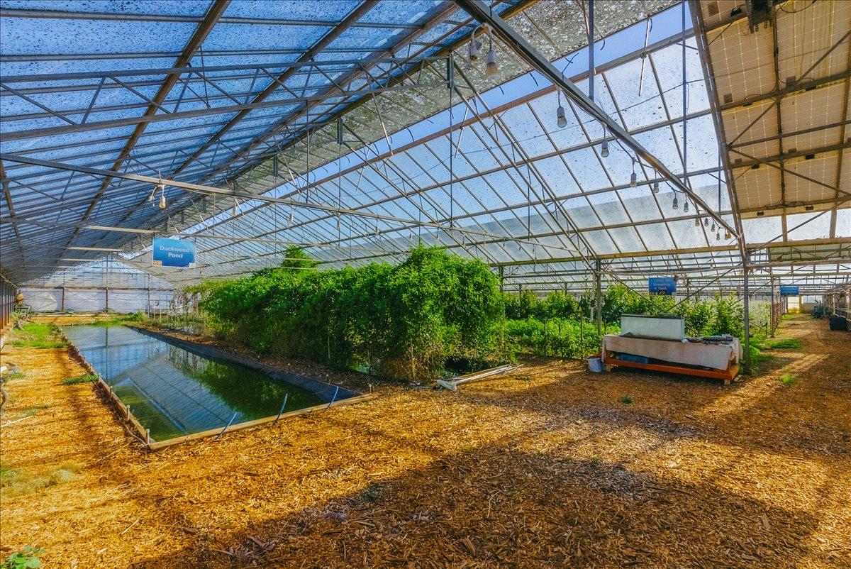 371 Calabasas Road Watsonville, CA 95076 - Photo 24 of 66