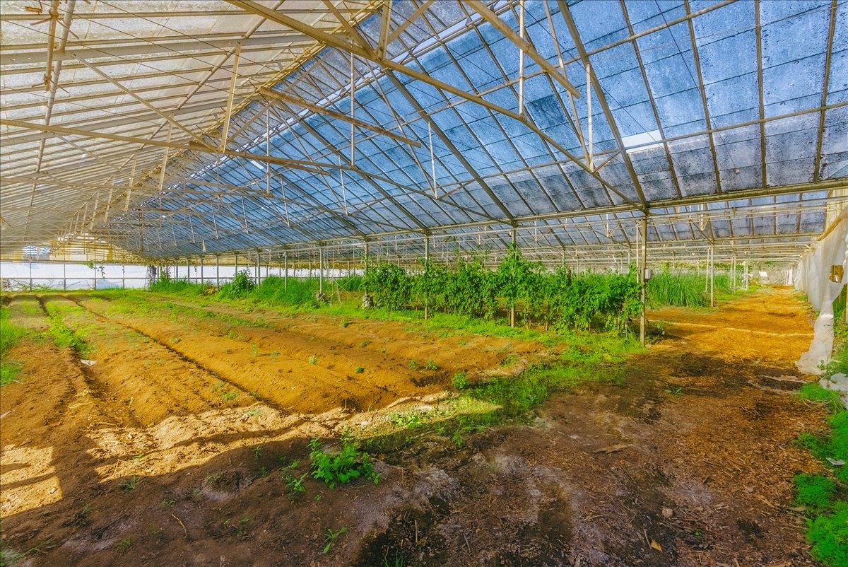 371 Calabasas Road Watsonville, CA 95076 - Photo 27 of 66