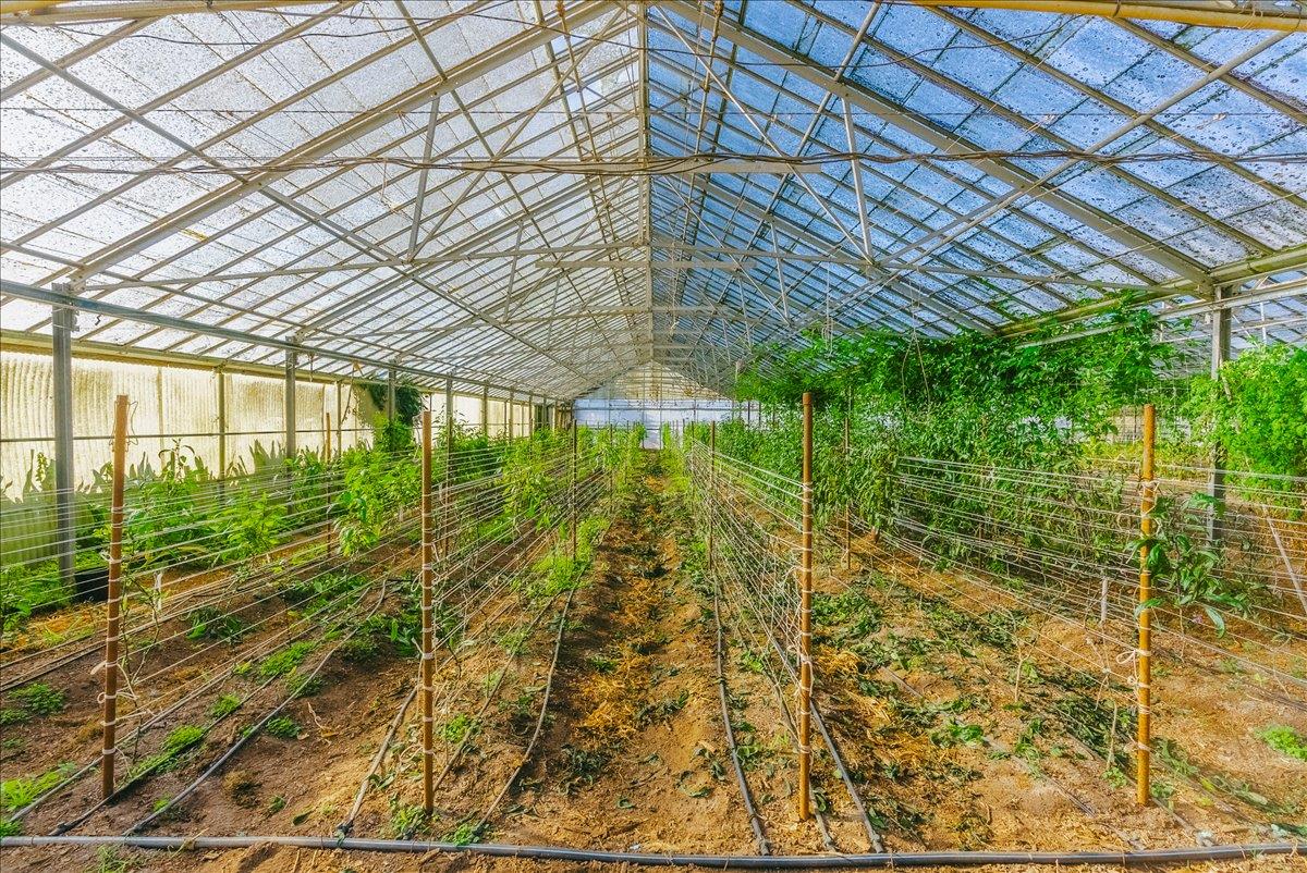 371 Calabasas Road Watsonville, CA 95076 - Photo 29 of 66