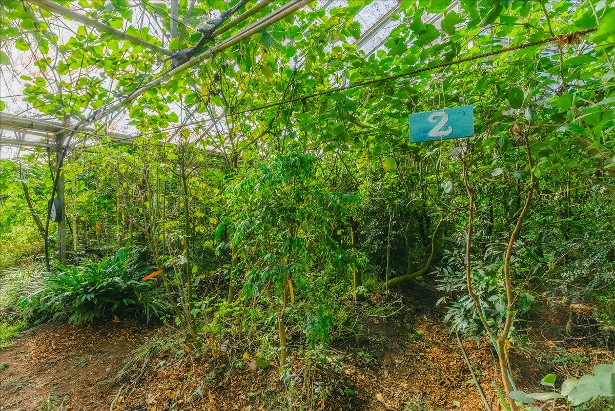 371 Calabasas Road Watsonville, CA 95076 - Photo 30 of 66