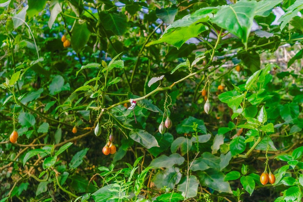 371 Calabasas Road Watsonville, CA 95076 - Photo 31 of 66