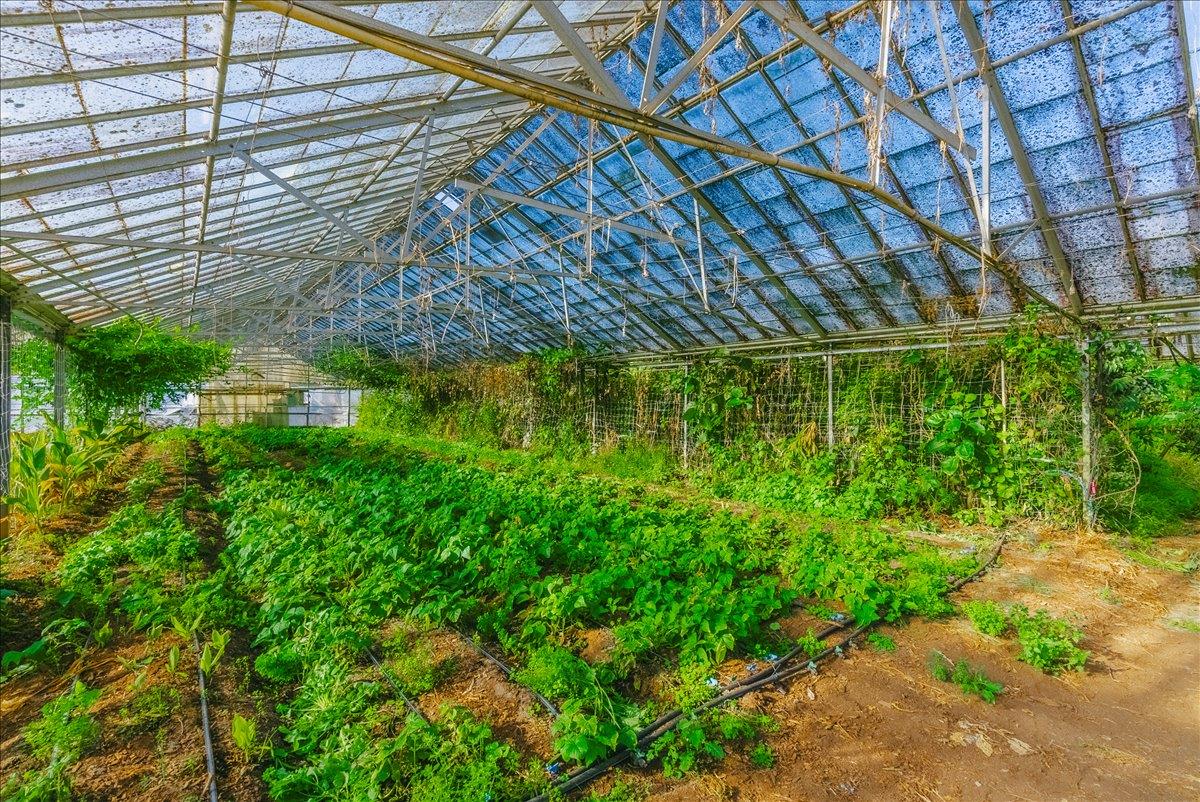 371 Calabasas Road Watsonville, CA 95076 - Photo 33 of 66