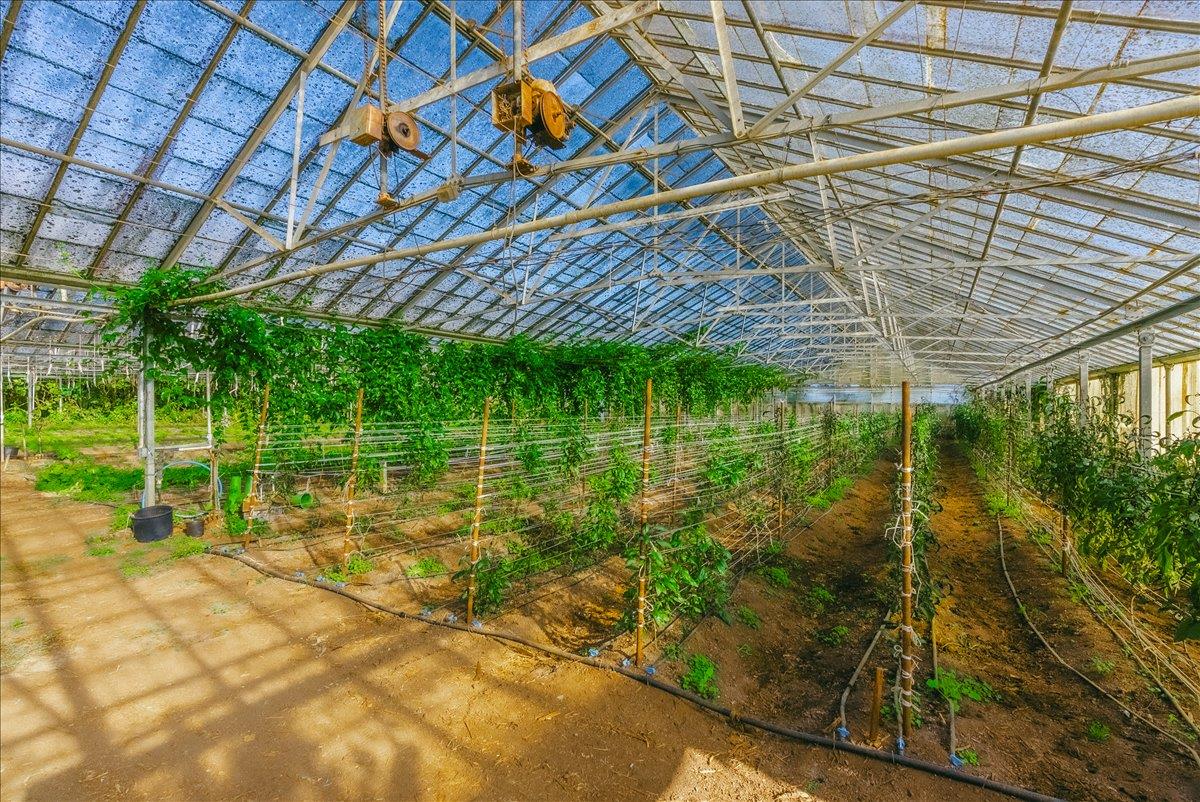 371 Calabasas Road Watsonville, CA 95076 - Photo 35 of 66