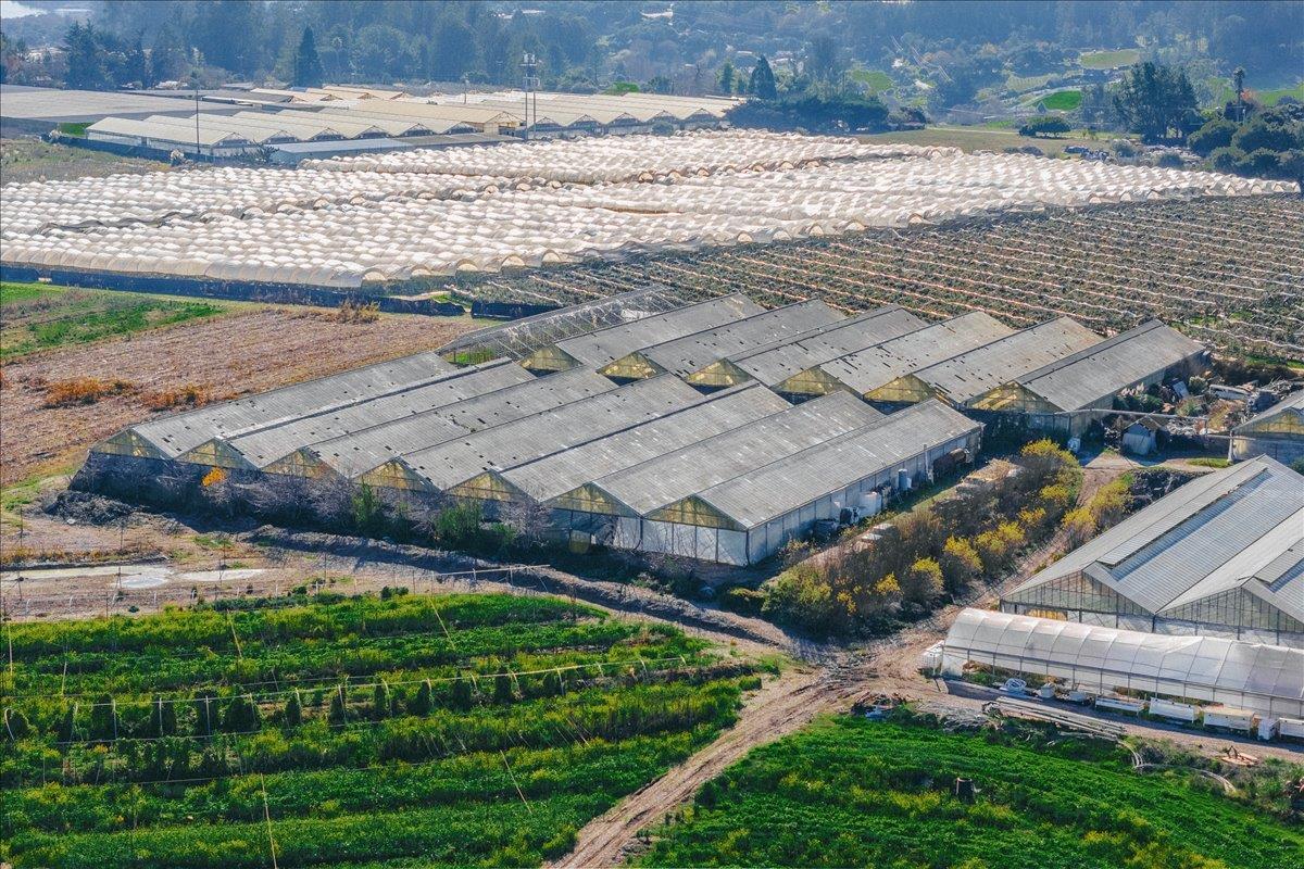 371 Calabasas Road Watsonville, CA 95076 - Photo 55 of 66