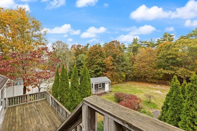 a view of a garden with a bench