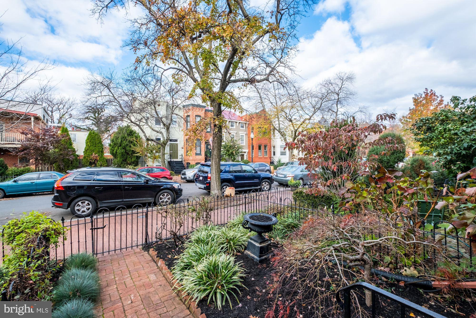 244 9th Street Southeast Washington, DC 20003 - Photo 3 of 28 Lovely front garden on charming street