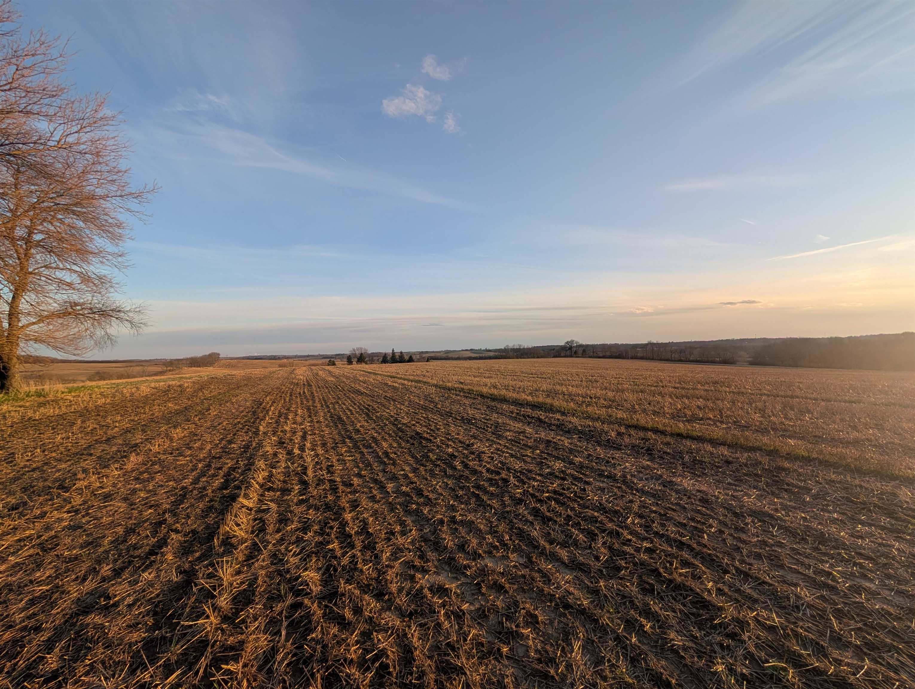 Xxxx Yale Bridge Road Durand, IL 61024 - Photo 23 of 23