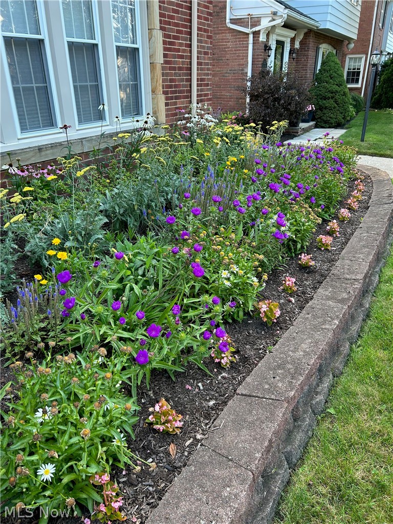 2556 Channing Road Cleveland, OH 44118 - Photo 29 of 34 View of spectacular perennial garden flowers