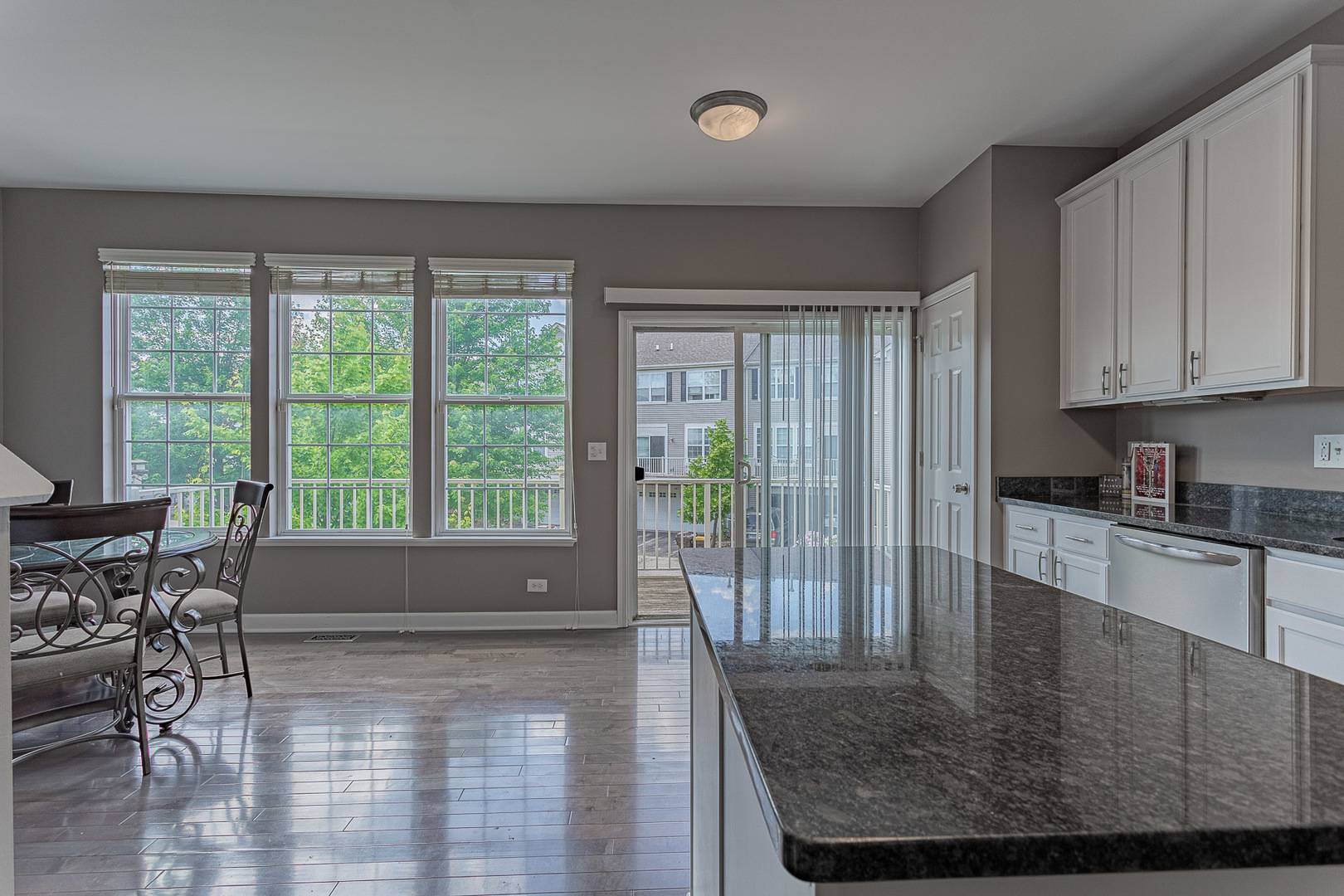 133 Willey Street Gilberts, IL 60136 - Photo 5 of 21