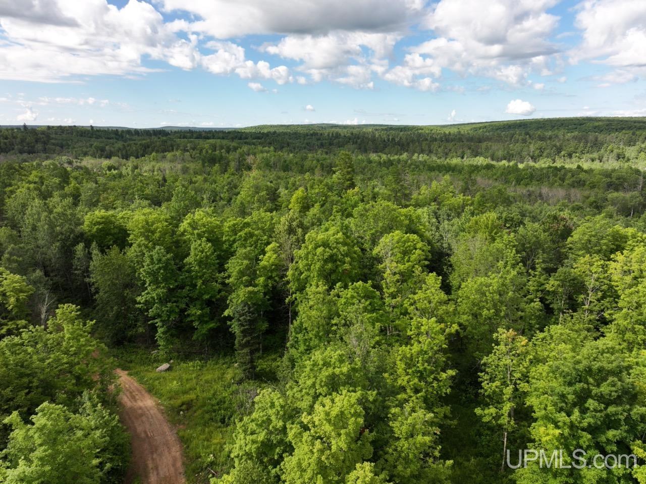 94-acres Off Bates Amasa Road Crystal Falls, MI 49920 - Photo 3 of 38