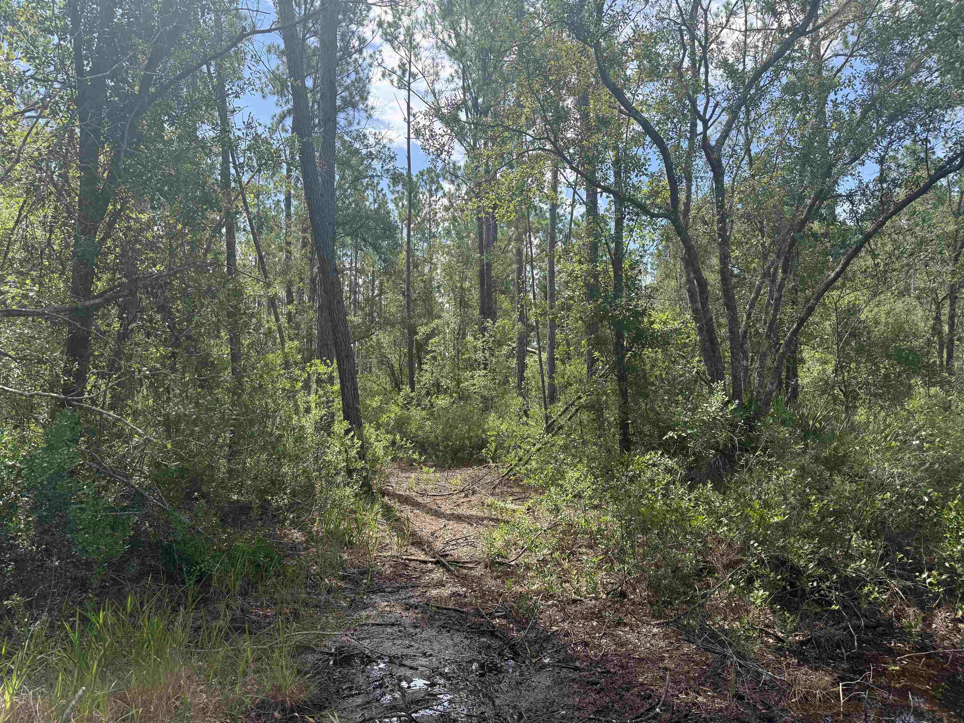 1400 Southwest Townsend Road Madison, FL 32340 - Photo 20 of 22 Gallery Image 20