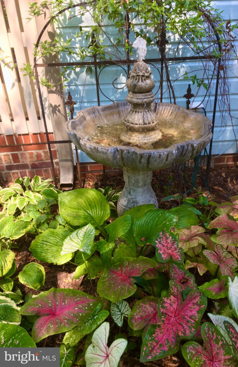 700 South Talbot Street St. Michaels, MD 21663 - Photo 83 of 83 Owner photo of summertime gardens.