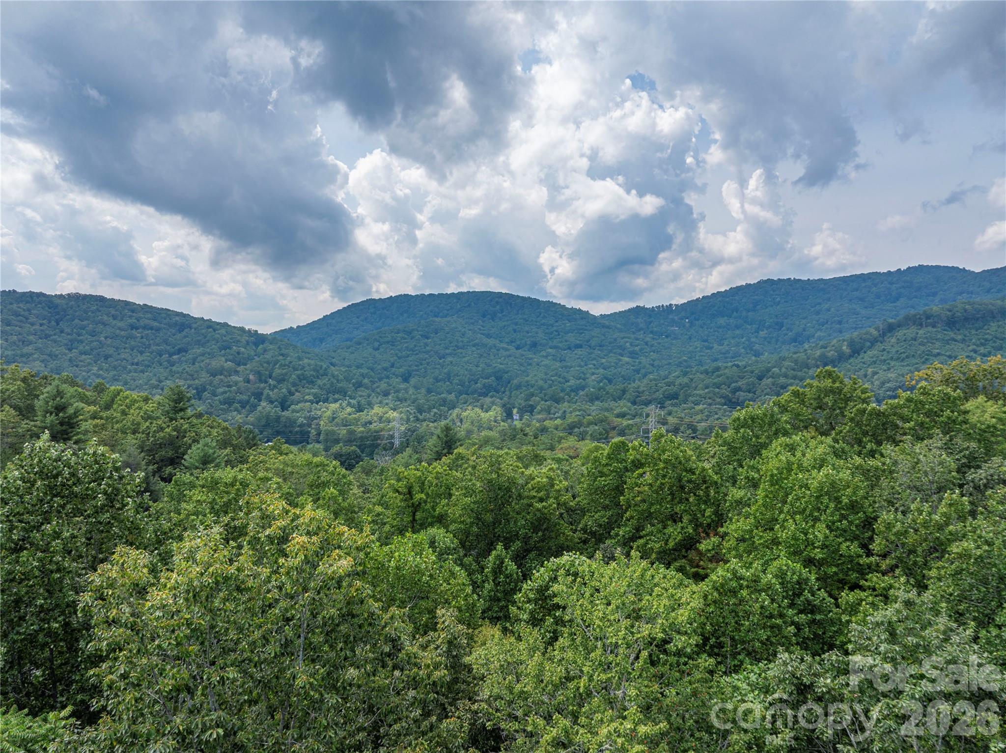 116 Ivy Road Mills River, NC 28759 - Photo 3 of 48 Gallery Image 3