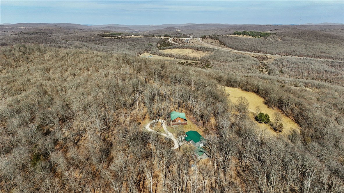 10557 North Devils Den Road Winslow, AR 72959 - Photo 57 of 60 Bird's eye view of a mountainous background and a forest