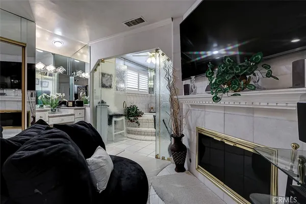 a living room with furniture a fireplace and a potted plant