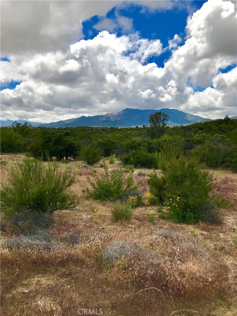 55015 Blue Sky Road Anza, CA 92539 - Photo 1 of 1 a view of a lake with a yard