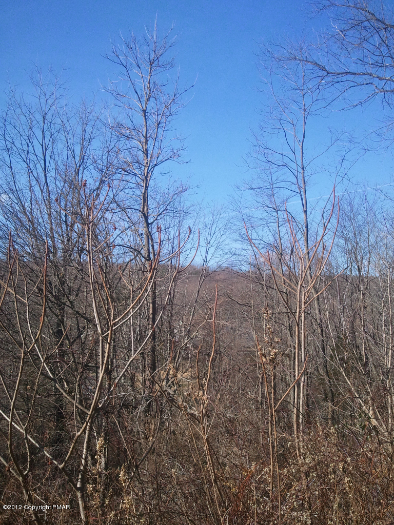169 Mutton Hollow Road Stroudsburg, PA 18360 - Photo 7 of 10 WP_000925