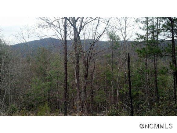 2.41-ac Table Rock Mountain Road Morganton, NC 28655 - Photo 9 of 11