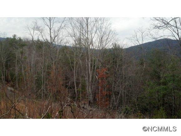 2.41-ac Table Rock Mountain Road Morganton, NC 28655 - Photo 10 of 11
