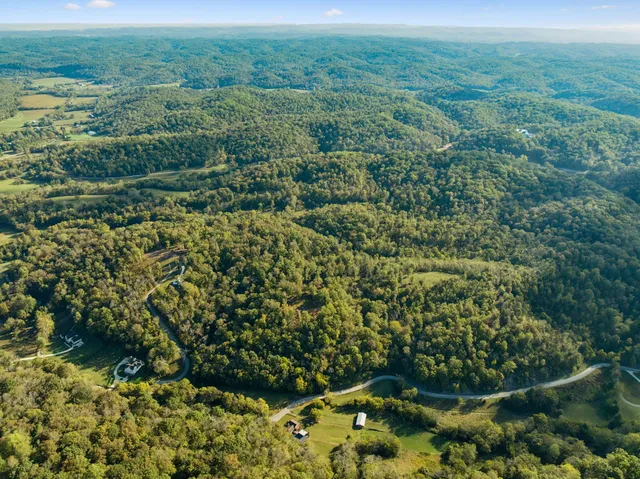 a view of a big yard with plants and a plant
