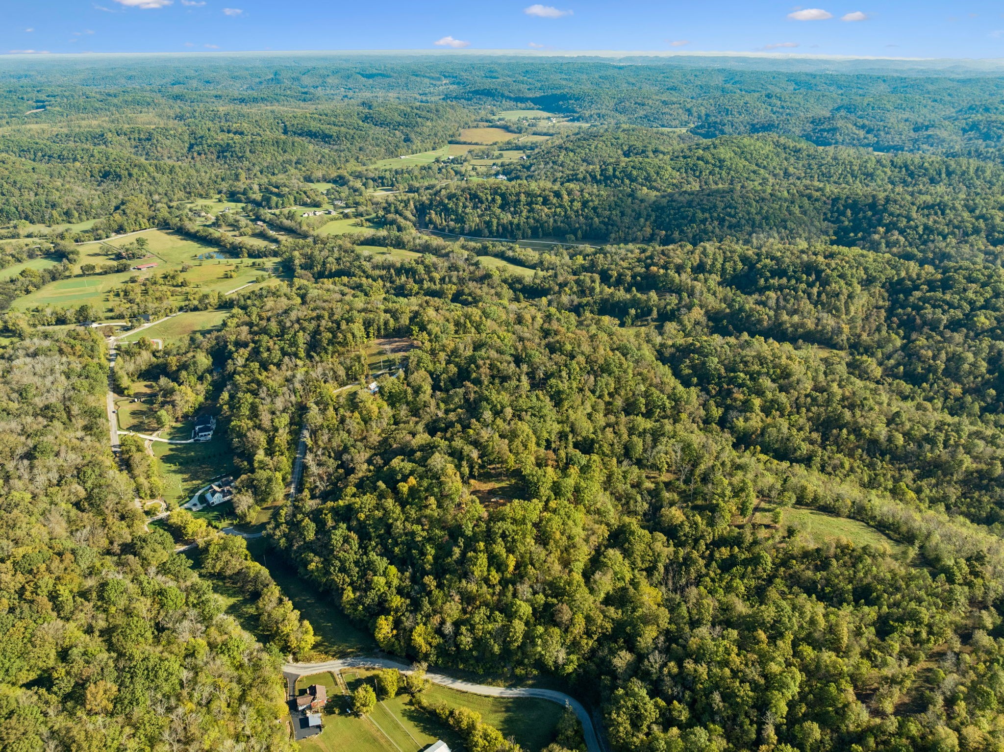 6017 Russell Ridge Lane Franklin, TN 37064 - Photo 15 of 73 a view of a lush green forest with trees and some houses