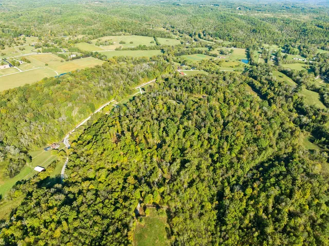 a view of a large yard with lots of green space