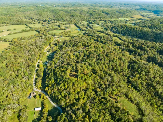 an aerial view of residential houses with outdoor space and trees