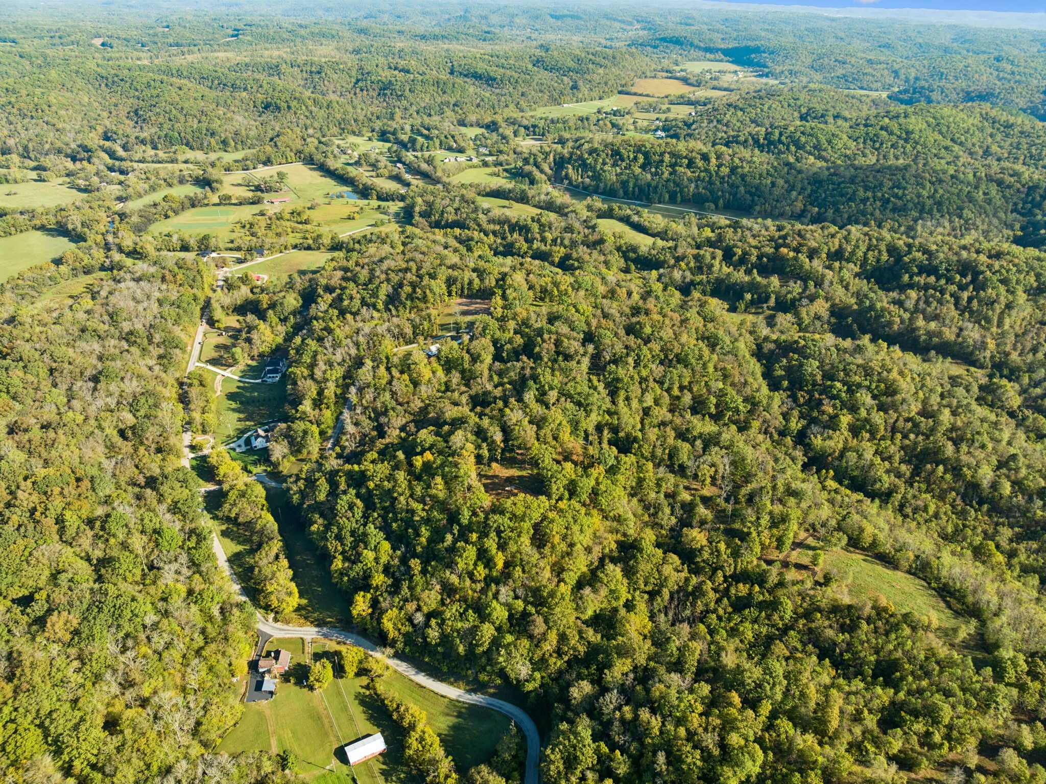 6017 Russell Ridge Lane Franklin, TN 37064 - Photo 19 of 73 an aerial view of residential houses with outdoor space