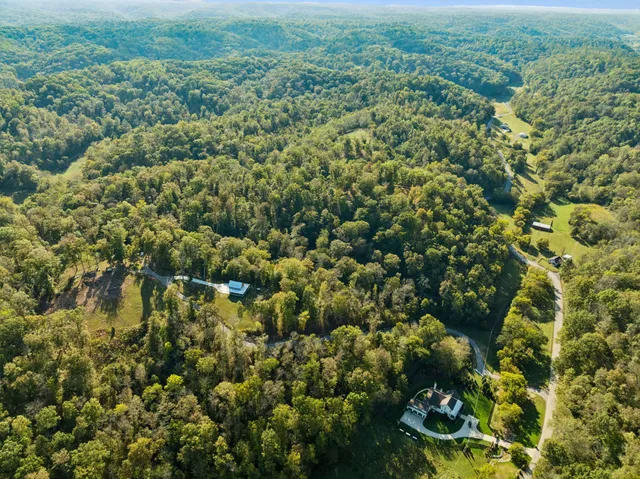 a view of a green field with lots of bushes