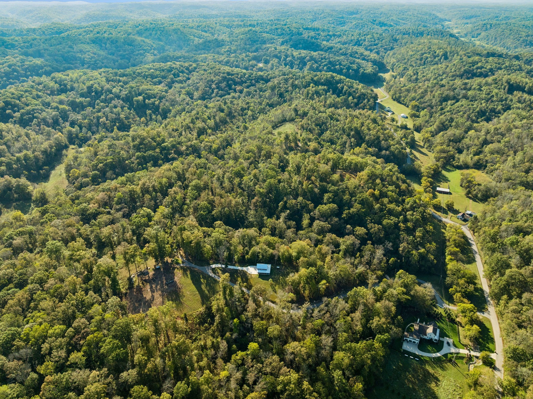 6017 Russell Ridge Lane Franklin, TN 37064 - Photo 23 of 73 a view of a big yard with plants and large trees
