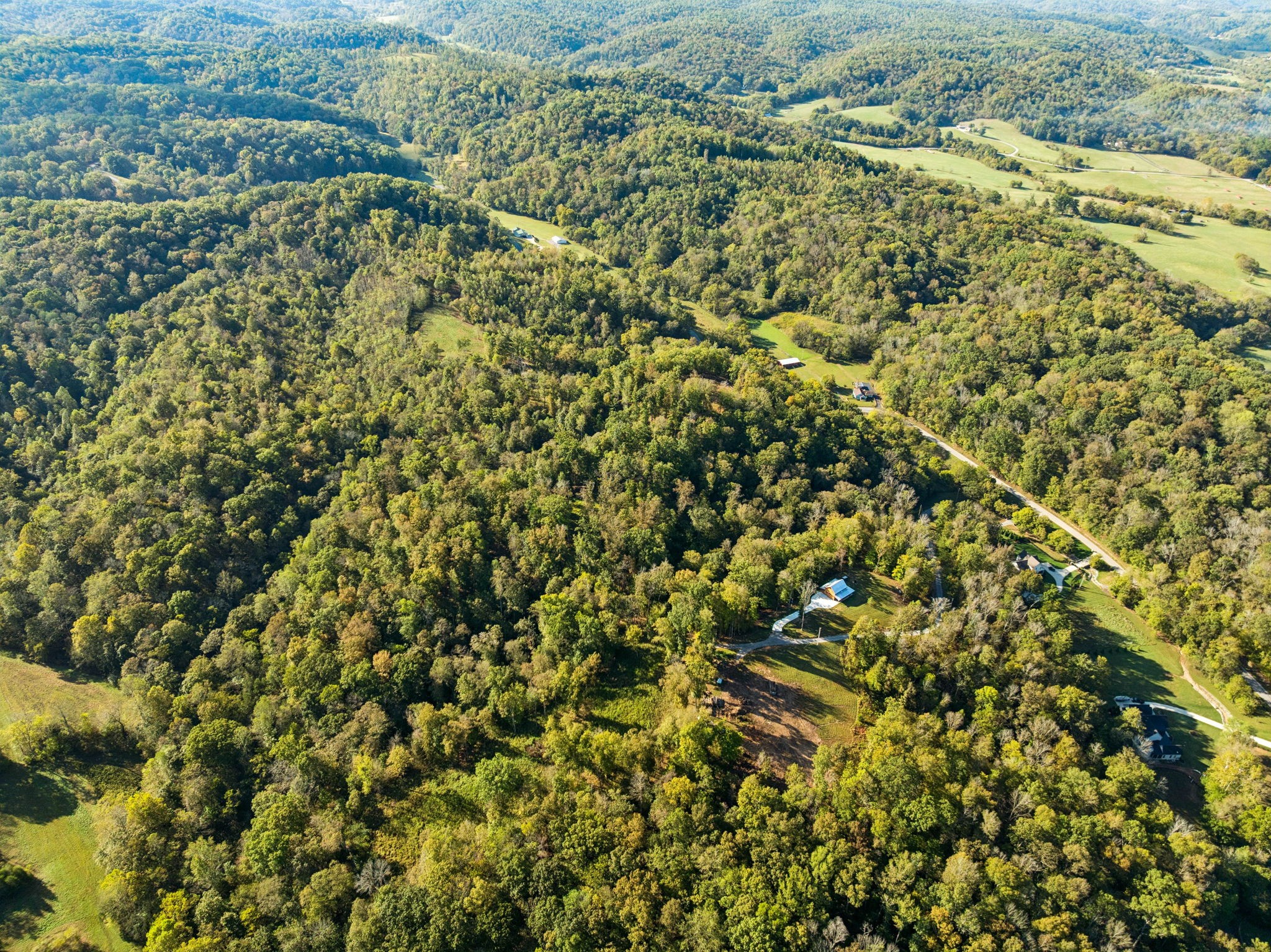 6017 Russell Ridge Lane Franklin, TN 37064 - Photo 26 of 73 a view of a large yard with lots of green space