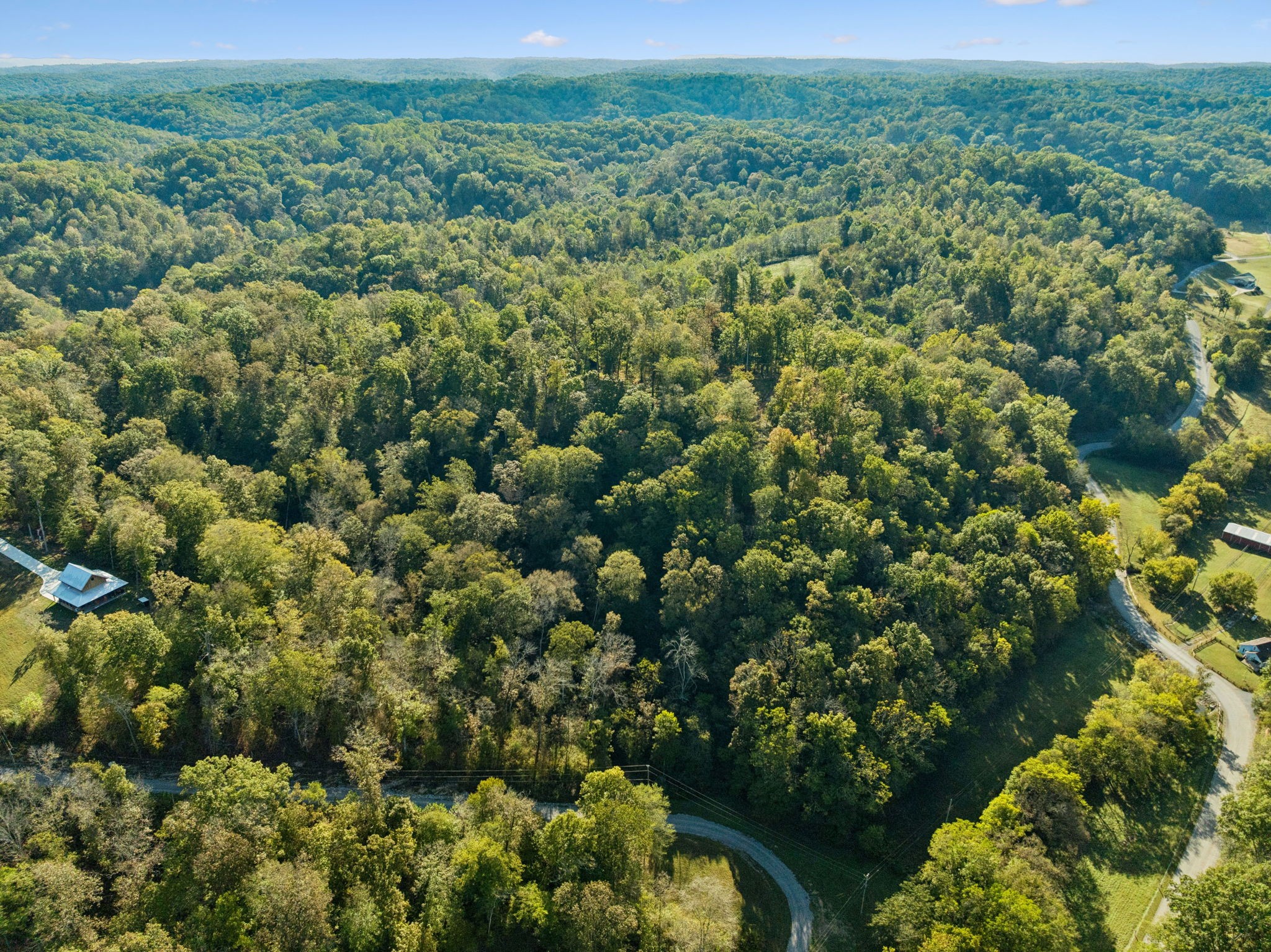 6017 Russell Ridge Lane Franklin, TN 37064 - Photo 29 of 73 a view of a green field with lots of bushes
