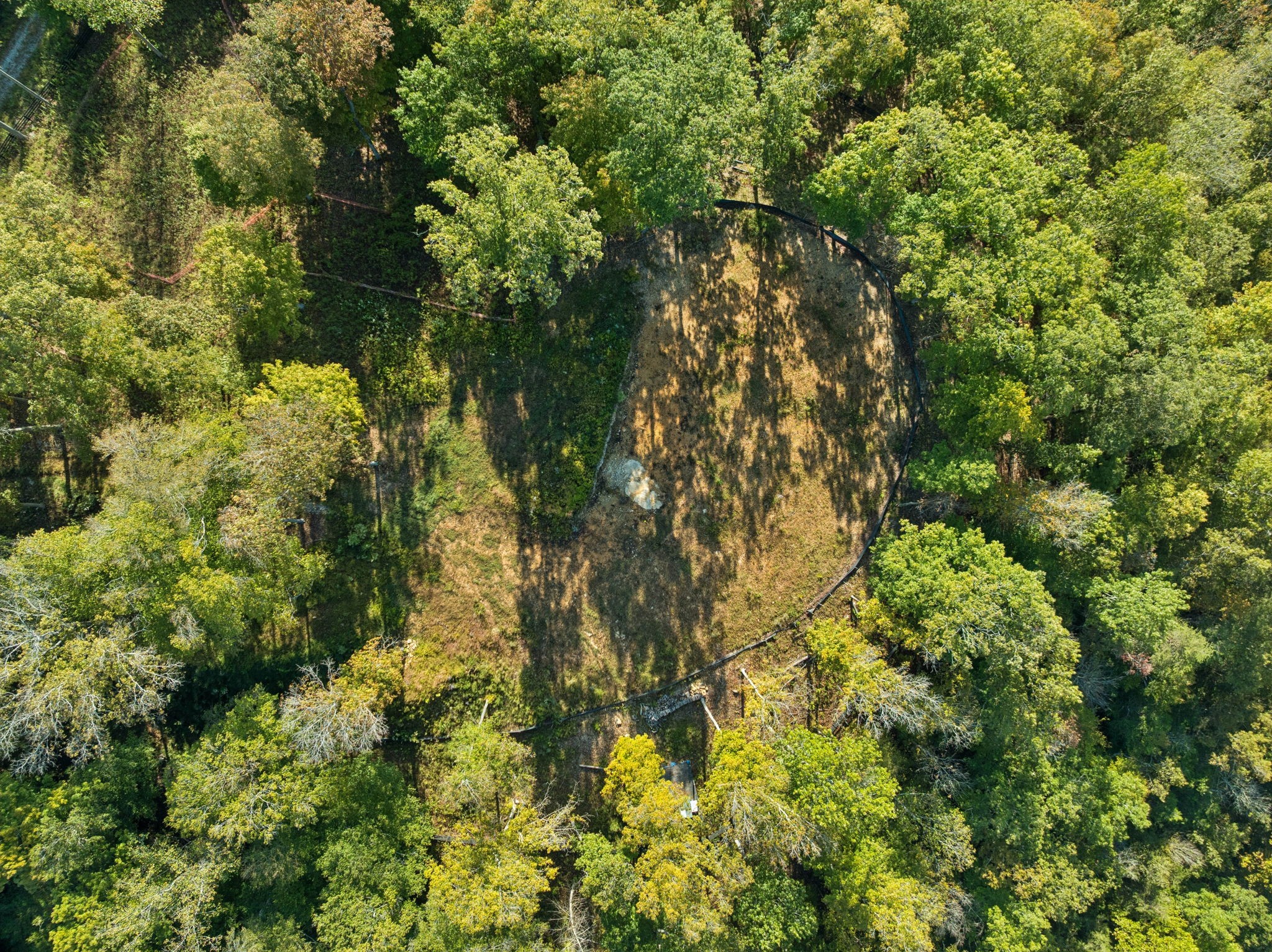 6017 Russell Ridge Lane Franklin, TN 37064 - Photo 31 of 73