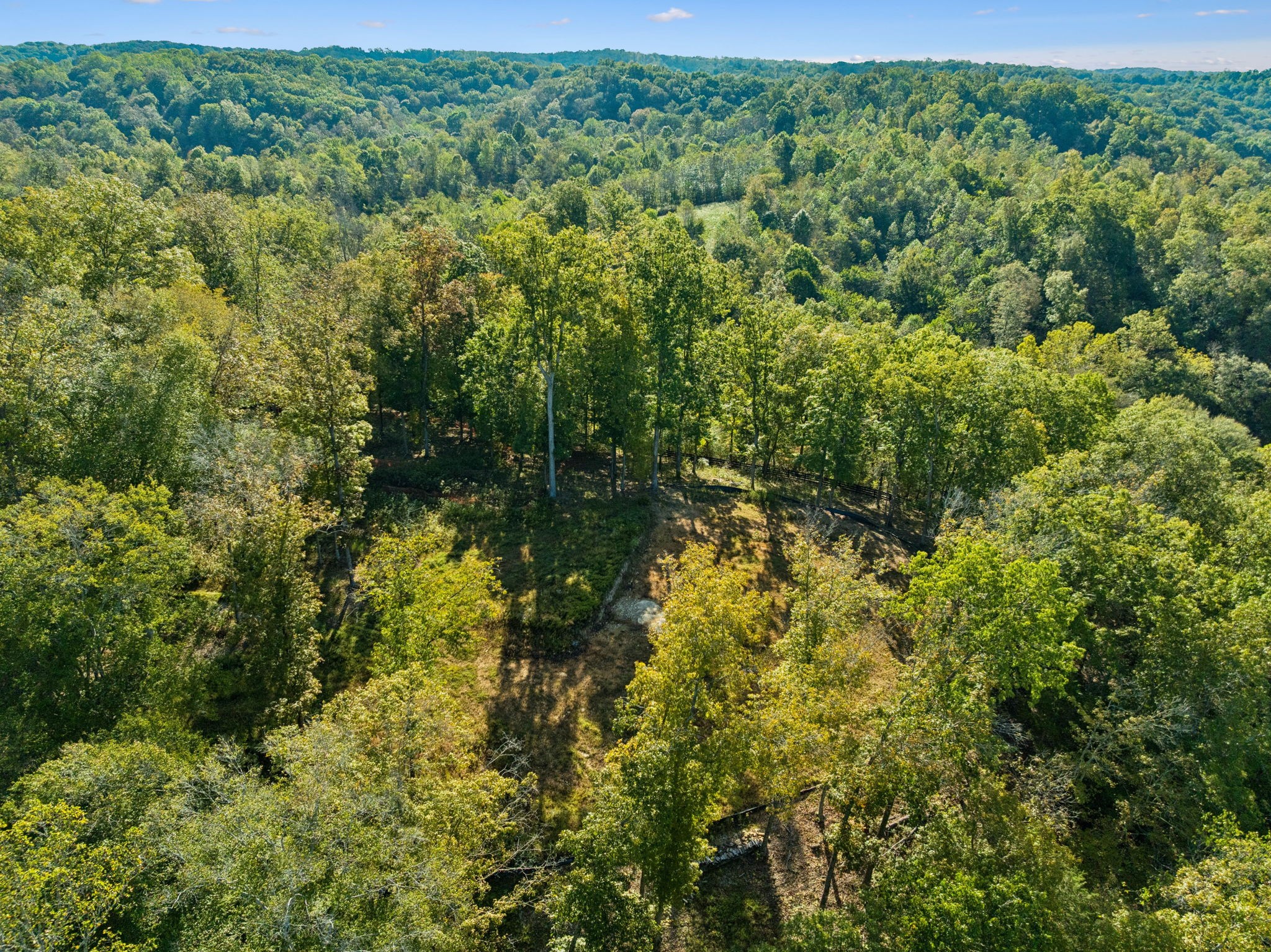 6017 Russell Ridge Lane Franklin, TN 37064 - Photo 31 of 73