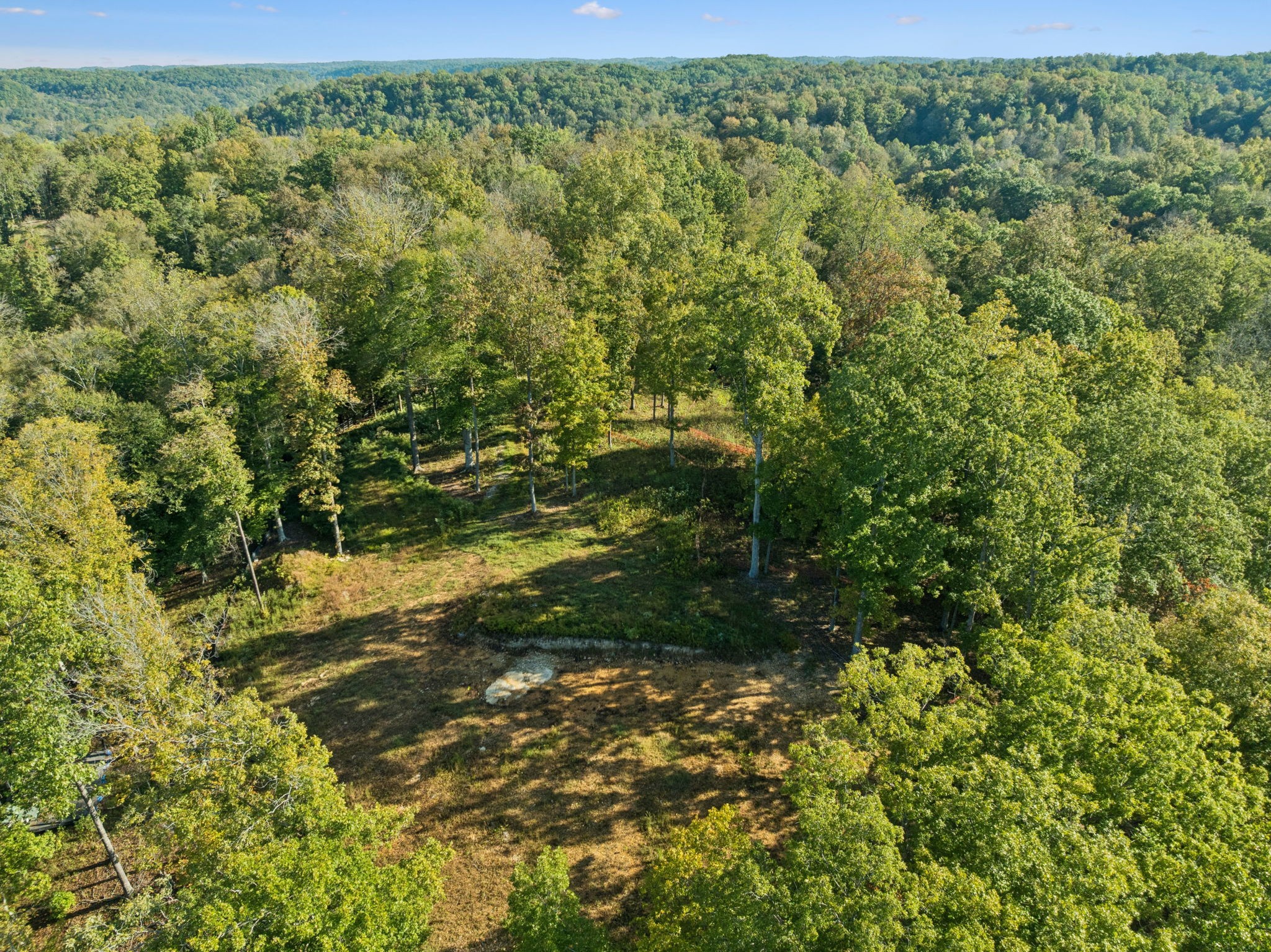 6017 Russell Ridge Lane Franklin, TN 37064 - Photo 32 of 73