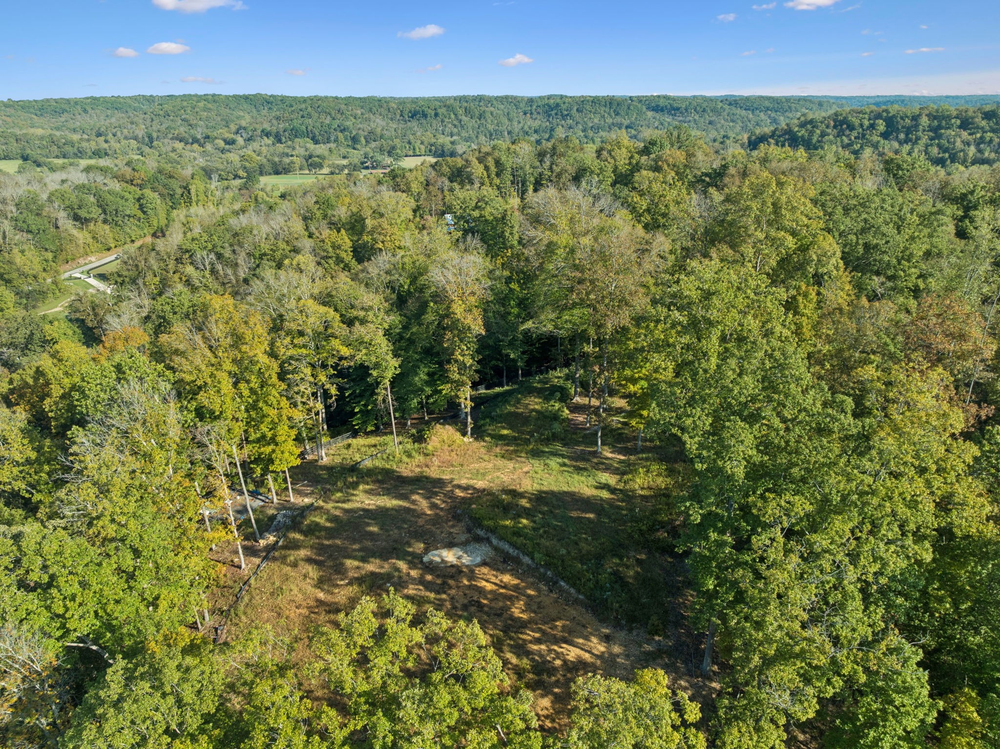 6017 Russell Ridge Lane Franklin, TN 37064 - Photo 33 of 73 a view of a green field with lots of bushes