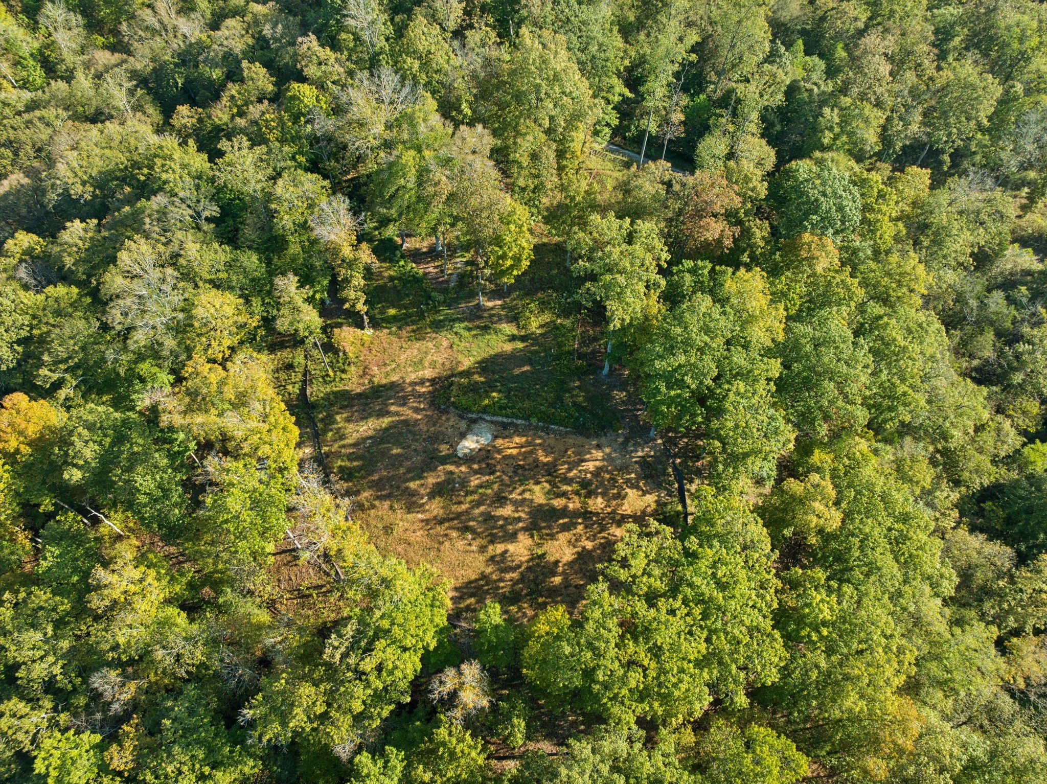 6017 Russell Ridge Lane Franklin, TN 37064 - Photo 36 of 73