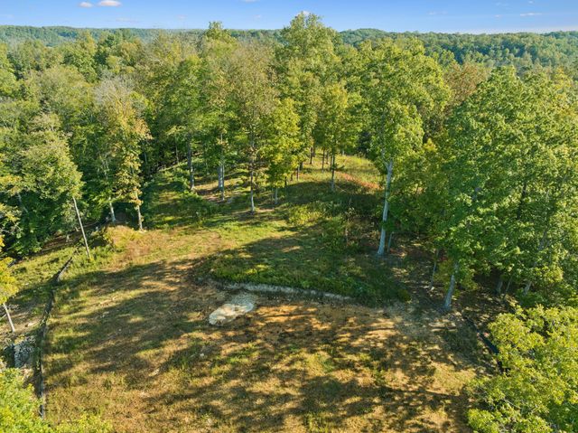 a big yard with lots of green space and trees