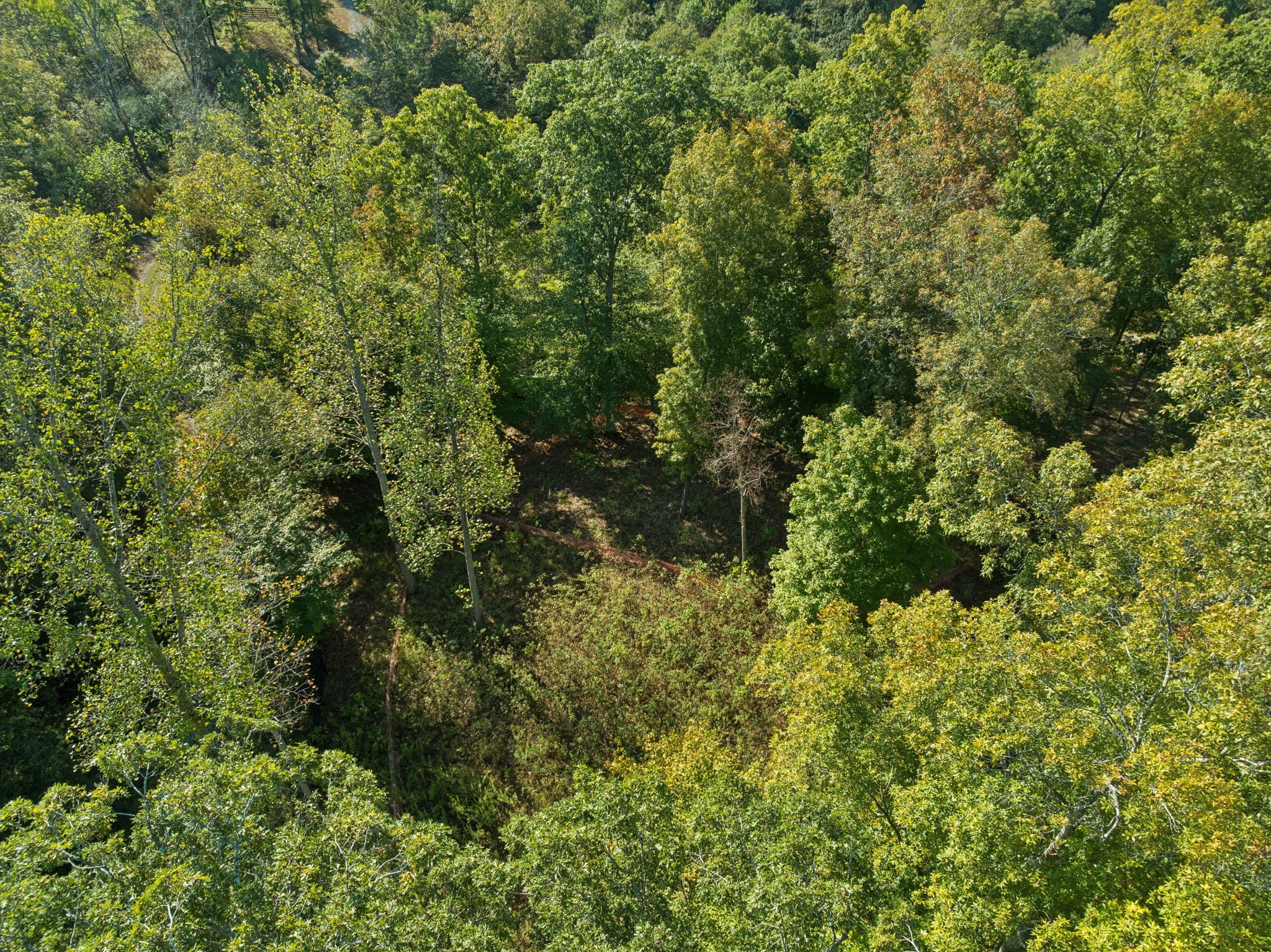 6017 Russell Ridge Lane Franklin, TN 37064 - Photo 39 of 73