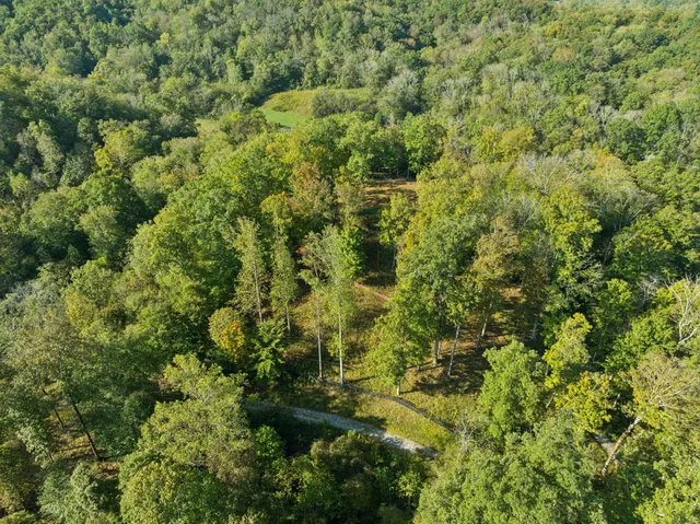 a view of outdoor space with trees