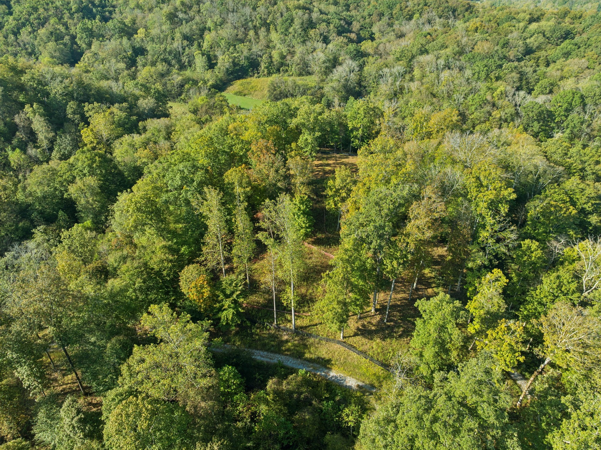 6017 Russell Ridge Lane Franklin, TN 37064 - Photo 39 of 73