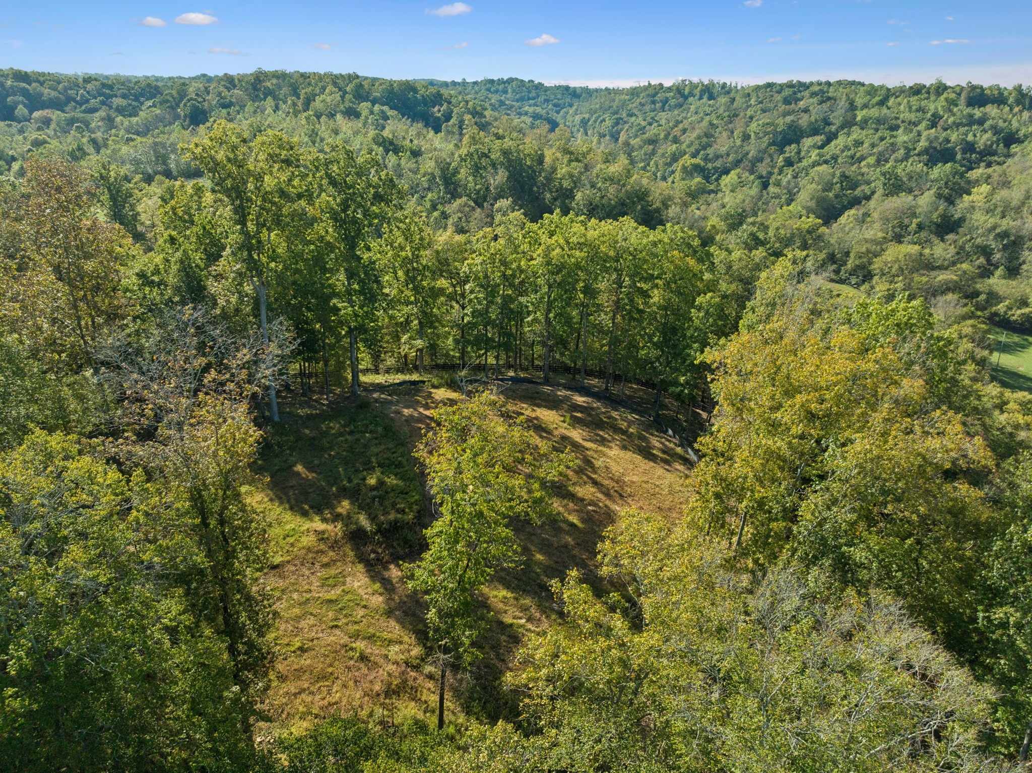 6017 Russell Ridge Lane Franklin, TN 37064 - Photo 43 of 73 a view of a forest with a street