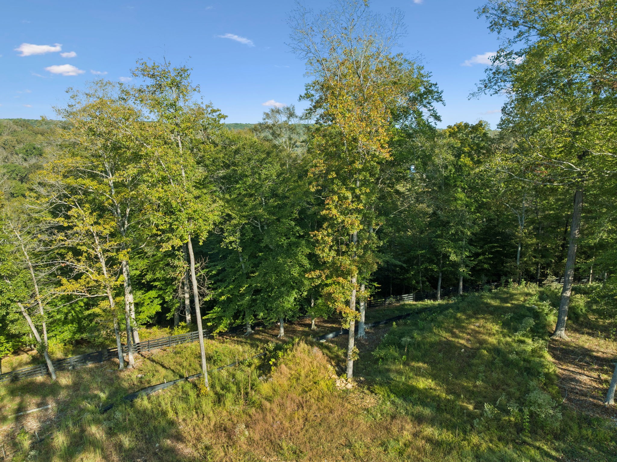 6017 Russell Ridge Lane Franklin, TN 37064 - Photo 44 of 73 a view of a yard