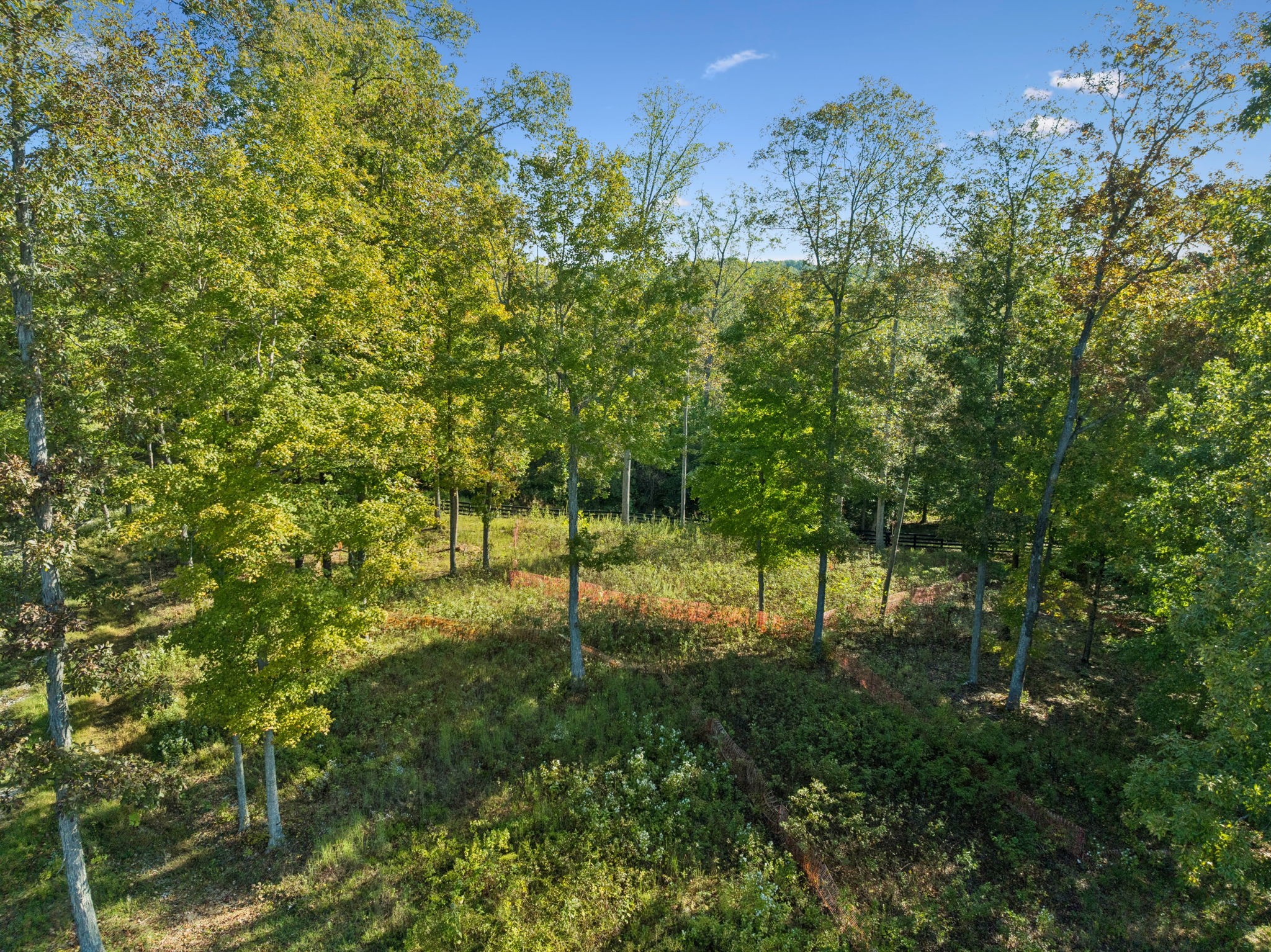 6017 Russell Ridge Lane Franklin, TN 37064 - Photo 45 of 73