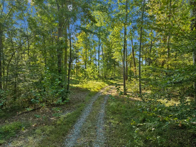 a view of backyard with green space