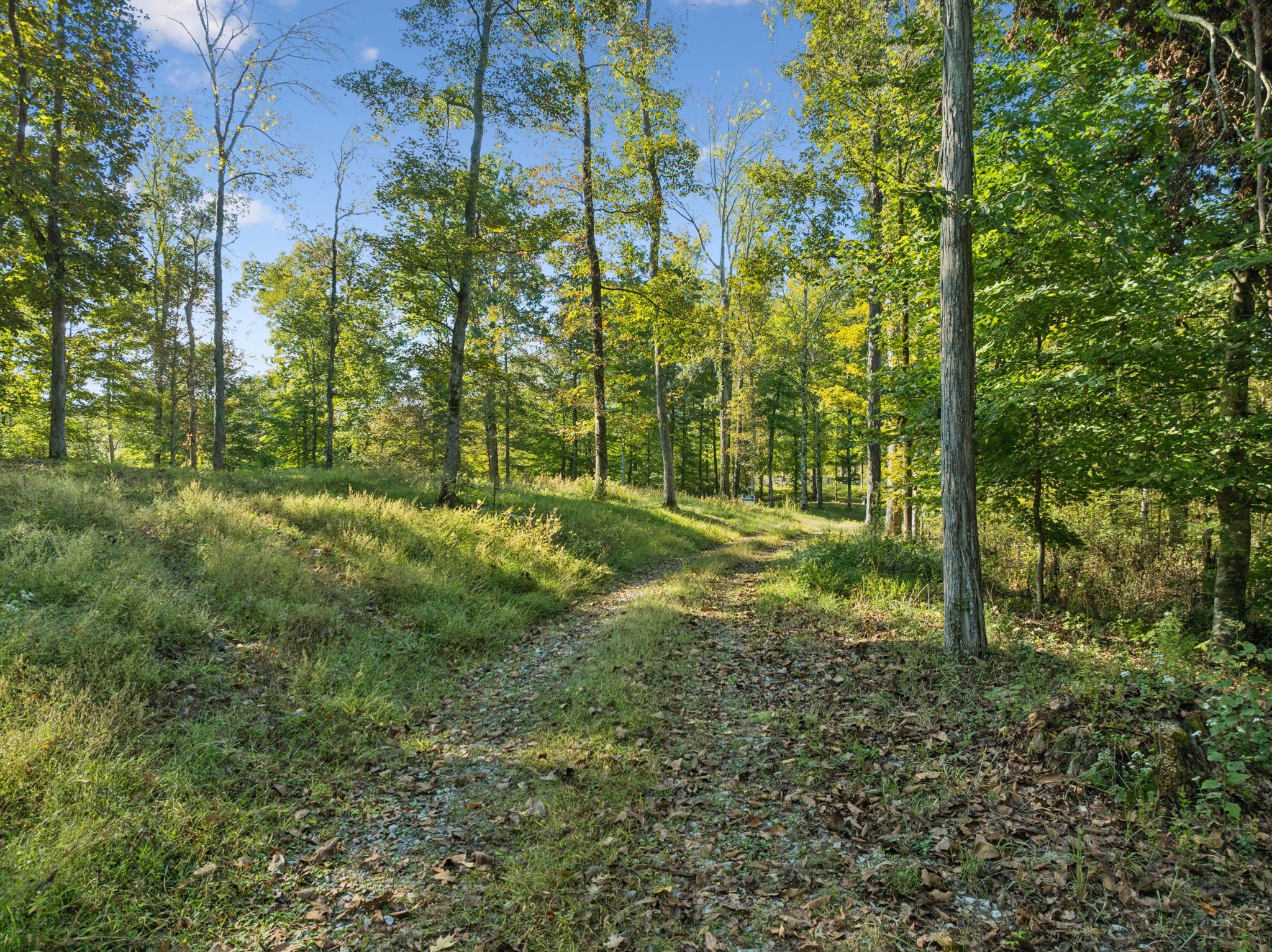 6017 Russell Ridge Lane Franklin, TN 37064 - Photo 49 of 73 a view of outdoor space and garden
