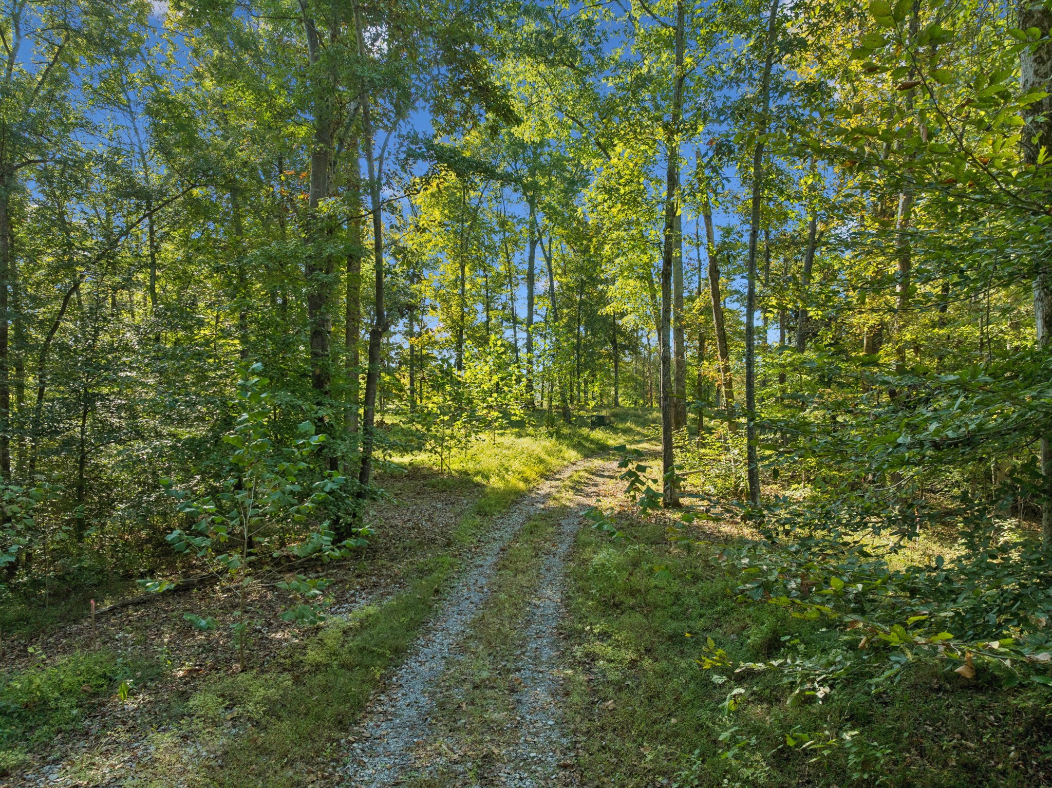 6017 Russell Ridge Lane Franklin, TN 37064 - Photo 49 of 73