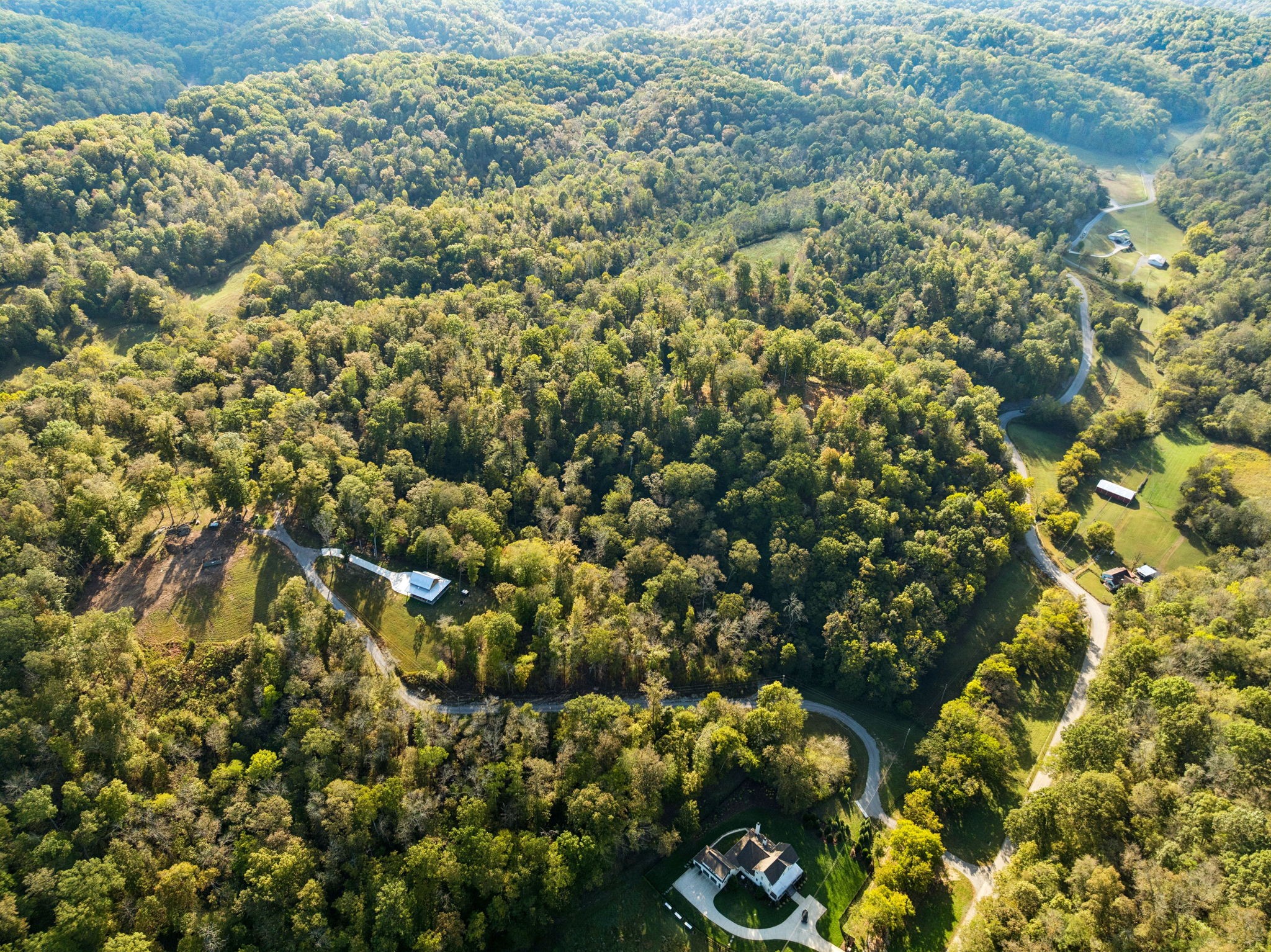 6017 Russell Ridge Lane Franklin, TN 37064 - Photo 5 of 73 a view of a bunch of flowers and trees